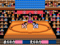 Tsuppari Oozumou (Sumo Wrestling)